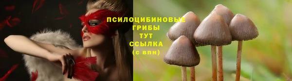 марихуана Баксан