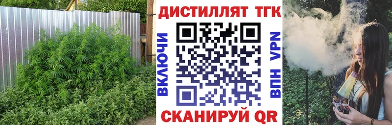 площадка телеграм  Барнаул  Дистиллят ТГК концентрат 