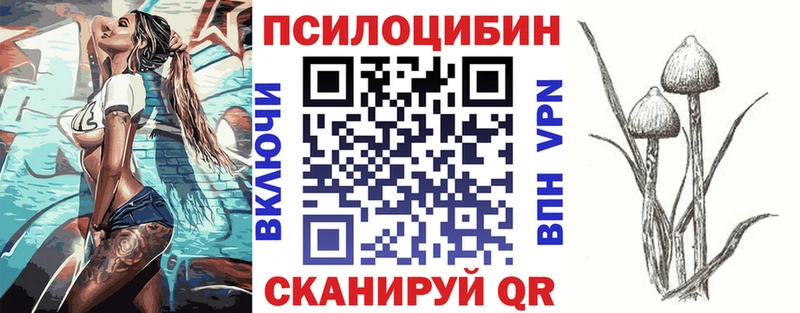 купить   Барнаул  Псилоцибиновые грибы прущие грибы 